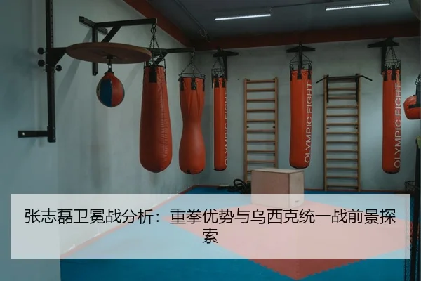 zhang-zhi-lei-wei-mian-zhan-fen-xi-zhong-quan-you-shi-yu-wu-xi-ke-tong-yi-zhan-qian-jing-tan-suo-2-247.jpg
