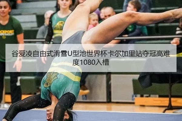 gu-ai-ling-zi-you-shi-hua-xue-xing-chi-shi-jie-bei-ka-er-jia-li-zhan-duo-guan-gao-nan-du-ru-cao-3-375.jpg