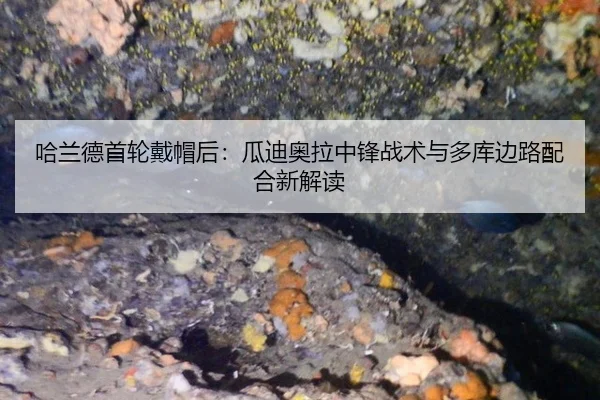 哈兰德首轮戴帽后：瓜迪奥拉中锋战术与多库边路配合新解读